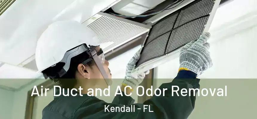  Air Duct and AC Odor Removal Kendall - FL
