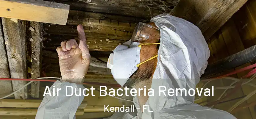  Air Duct Bacteria Removal Kendall - FL