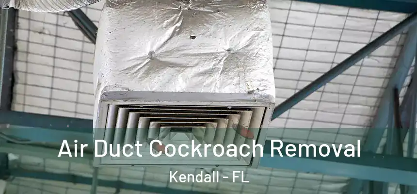  Air Duct Cockroach Removal Kendall - FL