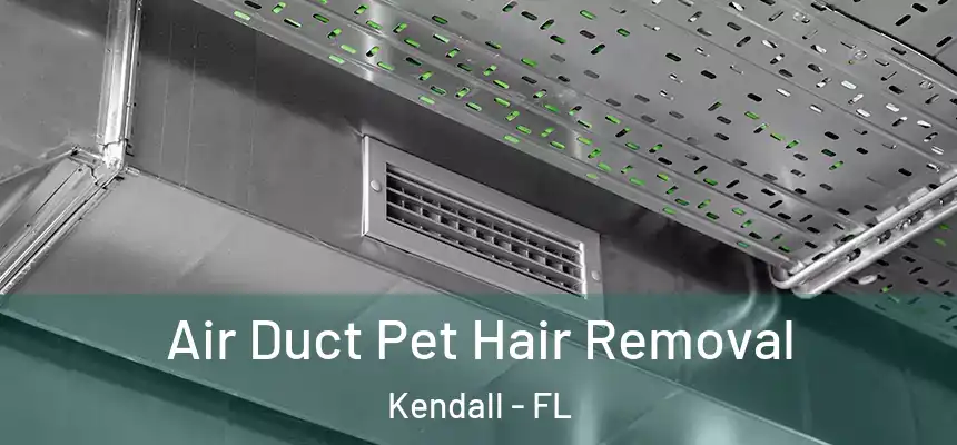 Air Duct Pet Hair Removal Kendall - FL