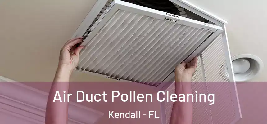 Air Duct Pollen Cleaning Kendall - FL