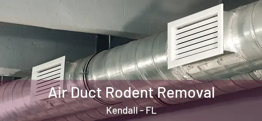 Air Duct Rodent Removal Kendall - FL