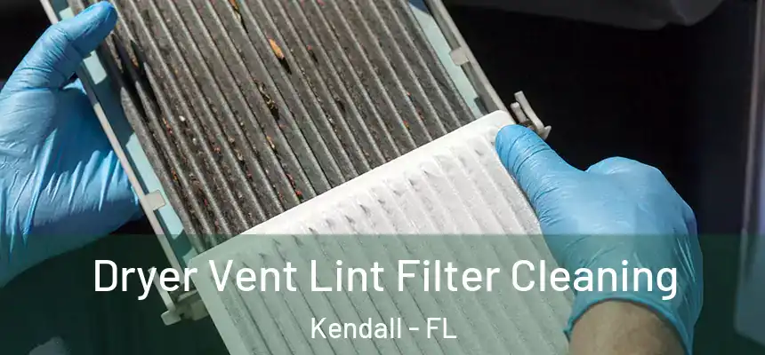  Dryer Vent Lint Filter Cleaning Kendall - FL