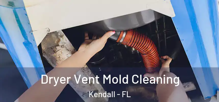  Dryer Vent Mold Cleaning Kendall - FL