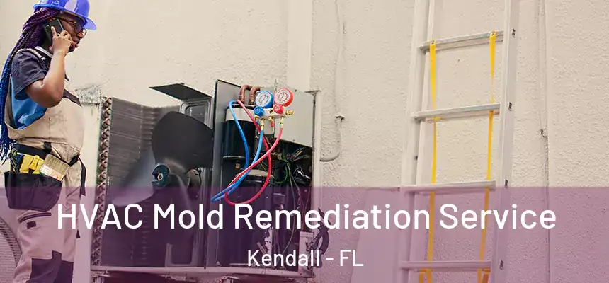  HVAC Mold Remediation Service Kendall - FL