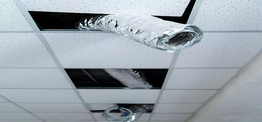 Affordable HVAC Sanitizing After Pest Removal in Kendall