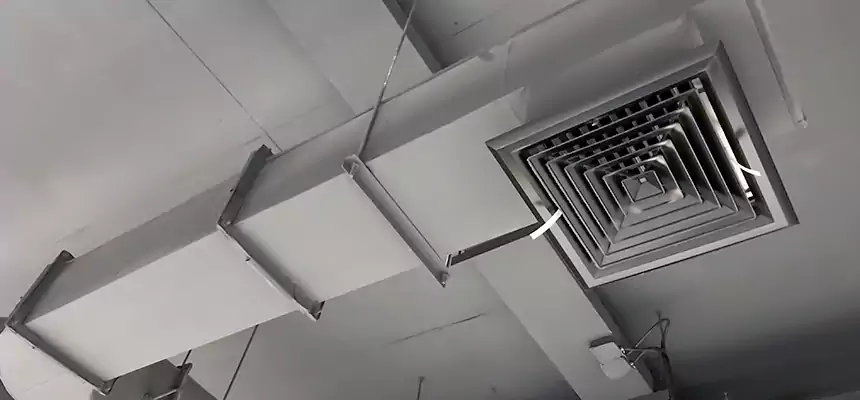 Our Pest Removal From Ducts Services in Kendall, FL