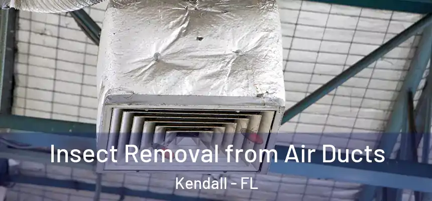 Insect Removal from Air Ducts Kendall - FL