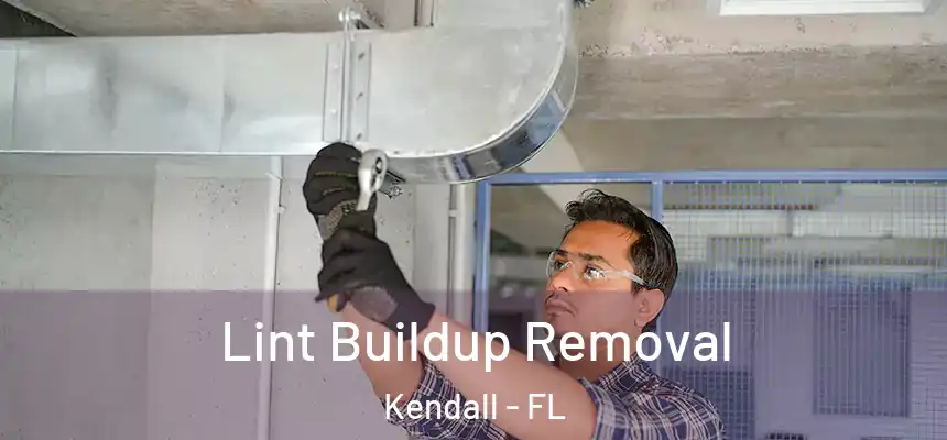  Lint Buildup Removal Kendall - FL