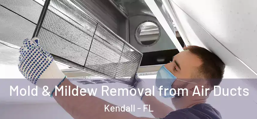Mold & Mildew Removal from Air Ducts Kendall - FL