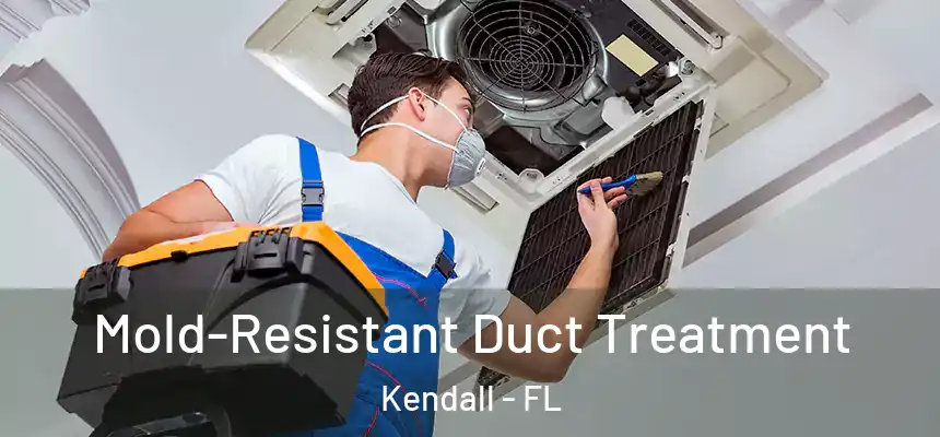 Mold-Resistant Duct Treatment Kendall - FL