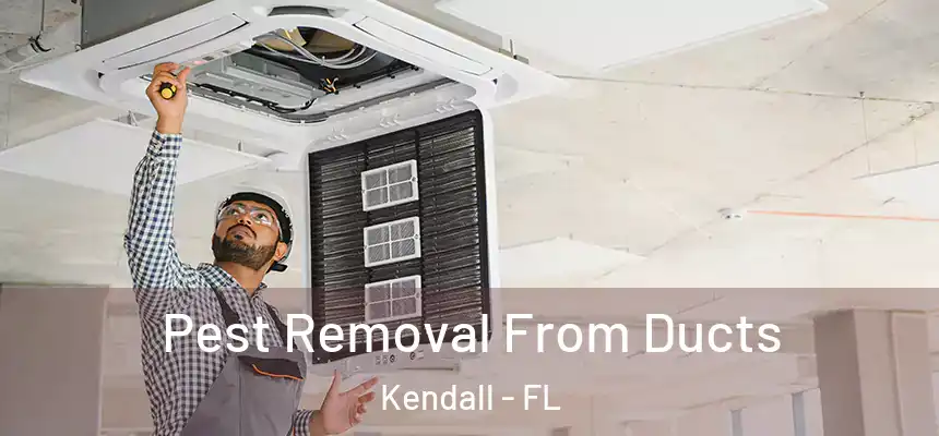  Pest Removal From Ducts Kendall - FL