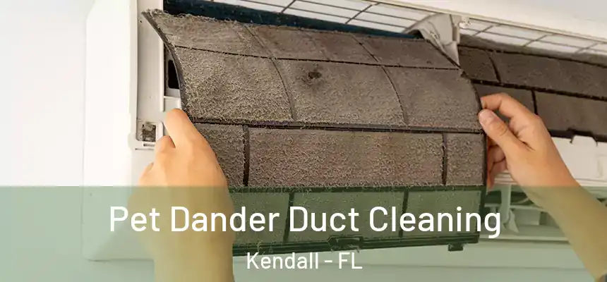  Pet Dander Duct Cleaning Kendall - FL