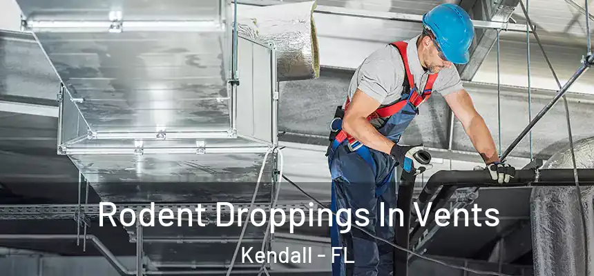 Rodent Droppings In Vents Kendall - FL
