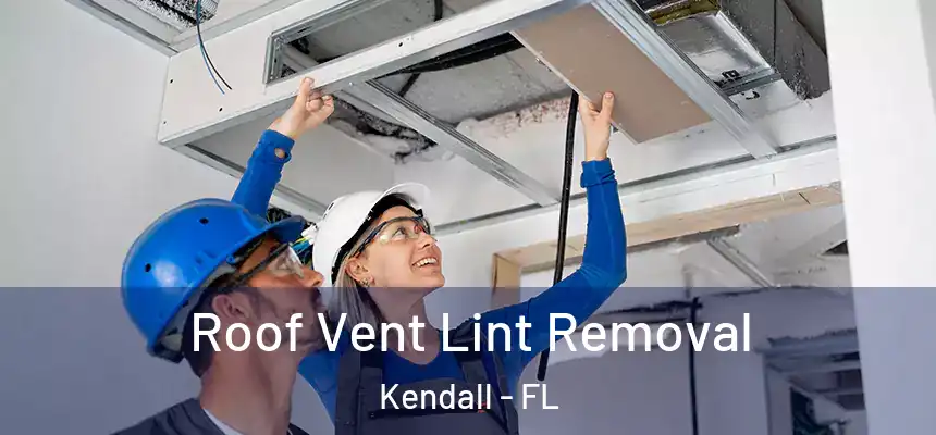  Roof Vent Lint Removal Kendall - FL