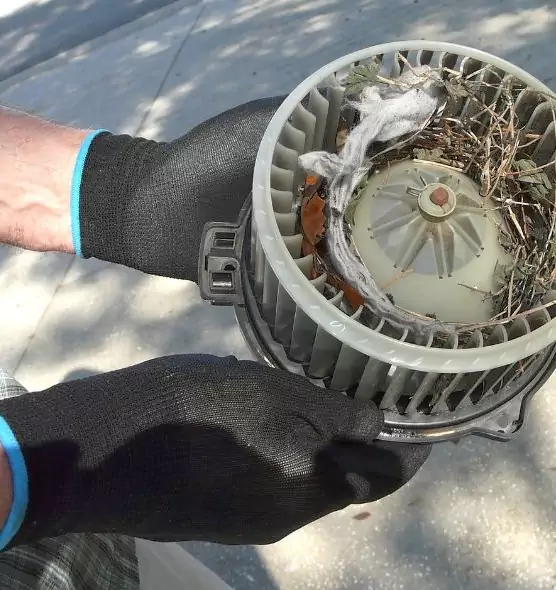 About Air Duct Rat Removal in Kendall, FL