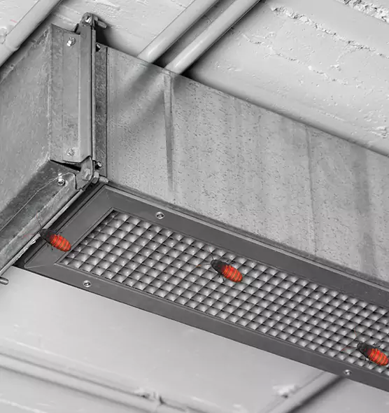 Affordable Insect Removal from Air Ducts in Kendall, FL