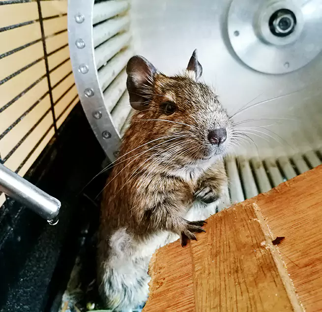 Why Homeowners & Businesses Trust Us Kendall, FL