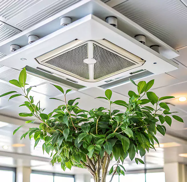 Why Homeowners & Businesses Trust Us in Kendall, FL?