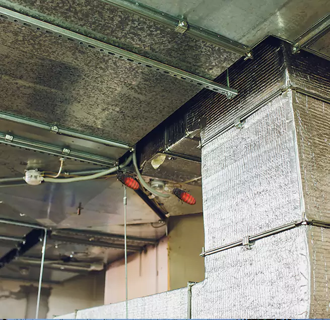 Why Homeowners & Businesses Trust Us Kendall, FL?