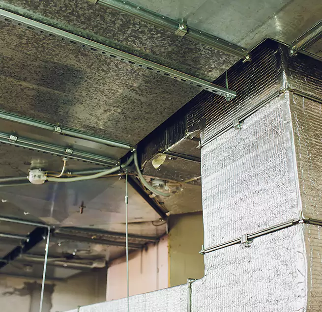 Why Homeowners & Businesses Trust Us in Kendall, FL?